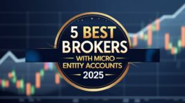 5 Best Brokers With Micro Entity Accounts in 2025