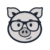 FXPIG : Is This Broker Globally Recognized?