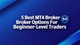 5 Best MT4 Broker Options for Beginner-Level Traders