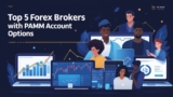 Top 5 Forex Brokers with PAMM Account Options